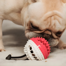 Jouet Corde de Traction pour Chiens – PupHappy