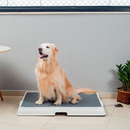 Baignoire Intelligente pour Animaux