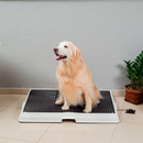 Baignoire Intelligente pour Animaux
