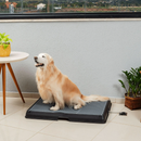 Baignoire Intelligente pour Animaux