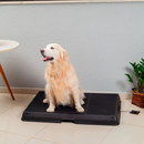 Baignoire Intelligente pour Animaux