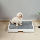Baignoire Intelligente pour Animaux
