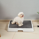 Baignoire Intelligente pour Animaux