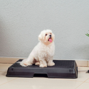 Baignoire Intelligente pour Animaux
