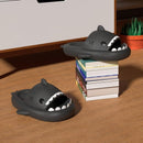 Sandales Requin Antidérapantes pour Adultes et Enfants