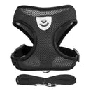 Collier Réglable pour Chiens et Chats – StreetPet™