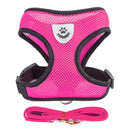 Collier Réglable pour Chiens et Chats – StreetPet™