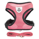 Collier Réglable pour Chiens et Chats – StreetPet™