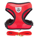 Collier Réglable pour Chiens et Chats – StreetPet™