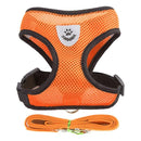 Collier Réglable pour Chiens et Chats – StreetPet™