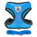 Collier Réglable pour Chiens et Chats – StreetPet™